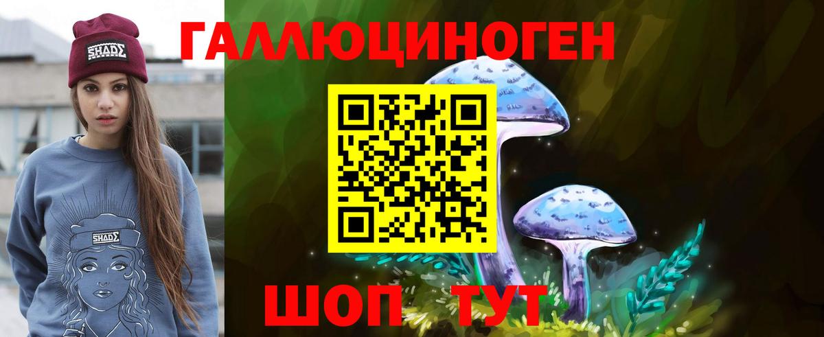 Галлюциногенные грибы Psilocybe Спасск-Дальний